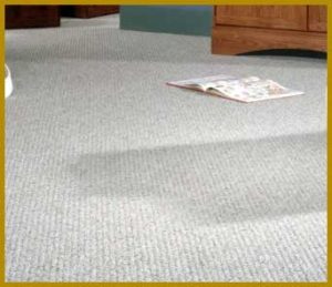 Read more about the article Empire Carpet Vs. Luna Carpet: Which One To Pick?