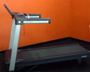 Read more about the article LifeSpan Vs. Sole Treadmill: The Ultimate Treadmill Comparison