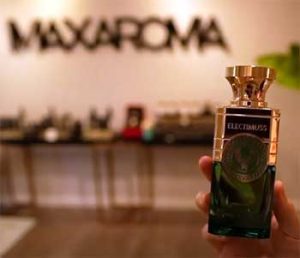 Read more about the article MaxAroma Vs. FragranceNet: Unveiling The Mystique