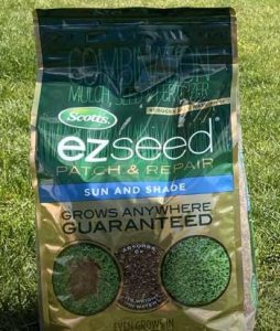 Read more about the article Scotts® EZ Seed Vs. Rapid Grass: The Green Grass Showdown