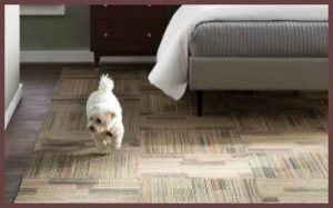Read more about the article Carpet Vs. Tile in Bedroom: The Great Flooring Debate