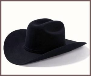 Read more about the article Stetson El Patron 48 Vs. 75: A Tale Of Two Titans