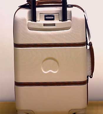 Delsey Chatelet Plus Luggage