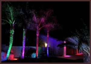 Read more about the article Alliance Outdoor Lighting: The Pros And The Cons