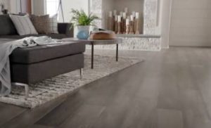 Read more about the article Invincible Flooring: A Comprehensive Review
