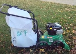Read more about the article The Showdown: Lawn Sweeper Vs. Lawn Vacuum