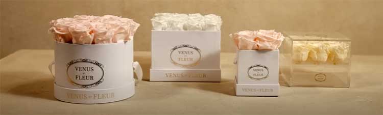 Venus et Fleur Classic Collection