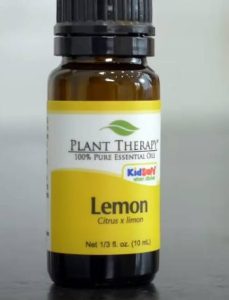 Read more about the article Young Living Vs. Plant Therapy: In-depth Difference