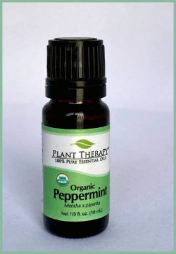 plant therapy essential oils