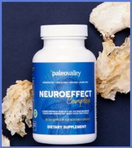 Read more about the article Paleovalley Neuro Effect Reviews From My Personal Experience