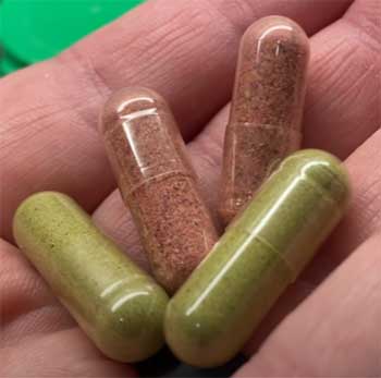 Balance of Nature  supplements