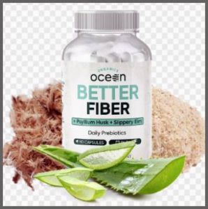 Read more about the article Ocean Better Fiber Reviews From My Personal Experience