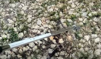 sherem weed terminator