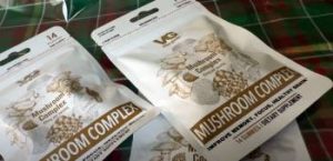 Read more about the article Vita Globe Mushroom Complex Reviews: Is It Worth It?