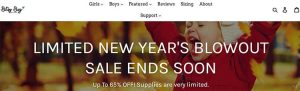 Read more about the article Bitsy Bug Boutique Reviews From Experience: Is It Worth It?