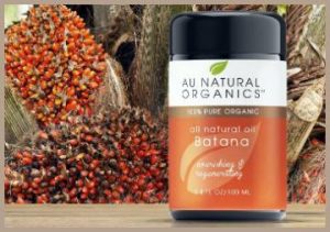 Read more about the article Doctor Truth Batana Oil Reviews From My Personal Experience