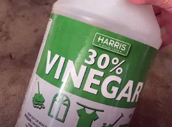 harris cleaning vinegar