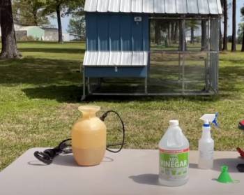 harris cleaning vinegar