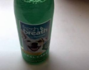 Read more about the article TropiClean Fresh Breath Review From My Personal Experience