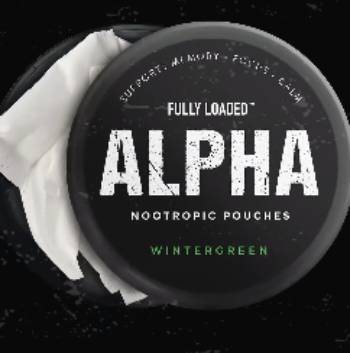 alpha nootropic pouches