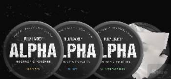 alpha nootropic pouches