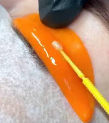 elleebana lash lift