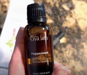Read more about the article Gya Labs Essential Oils Reviews: Is It Worth It?