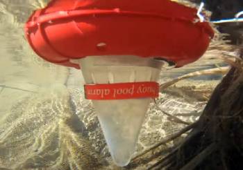 lifebuoy pool alarm