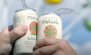 magic cactus drink