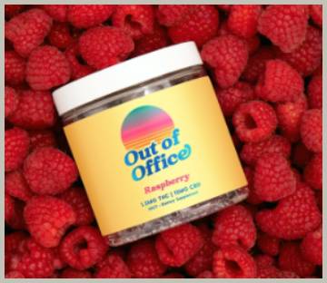 soul out of office gummies
