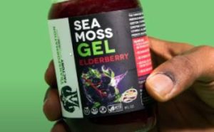 Read more about the article Transformation Factory Sea Moss Review: Is It Worth It?