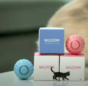 Read more about the article WLoom Power Ball 2.0 Review: Is It Worth It?