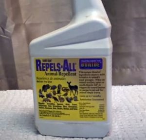Read more about the article Bonide Repels-All Reviews: Is It Worth It?