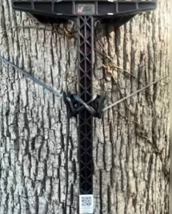 latitude carbon sticks