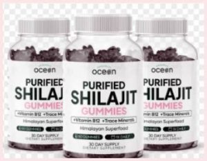 Read more about the article Organics Ocean Shilajit Reviews From My Personal Experience