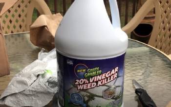 green gobbler weed killer