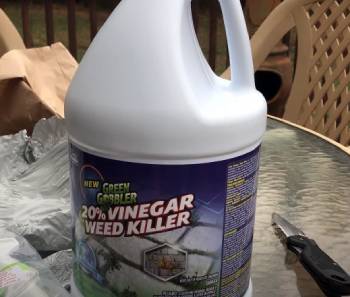 green gobbler weed killer