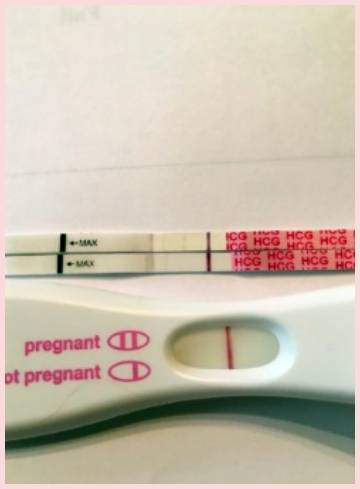 wondfo pregnancy test