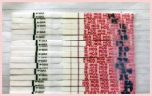 Read more about the article Wondfo Pregnancy Test Reviews From My Personal Experience