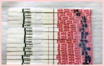 wondfo pregnancy test
