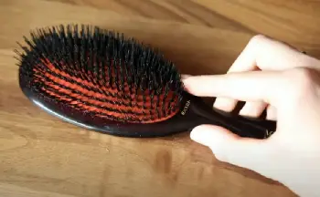 mason and pearson brush