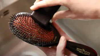 mason and pearson brush