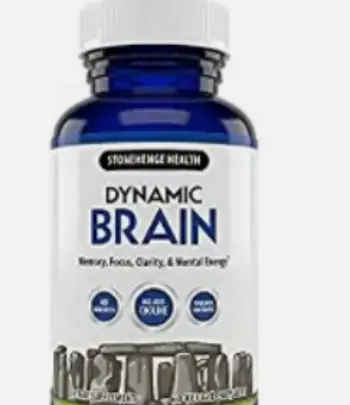 stonehenge dynamic brain