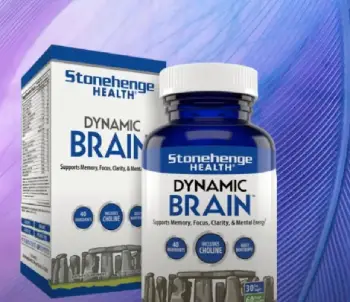 stonehenge dynamic brain