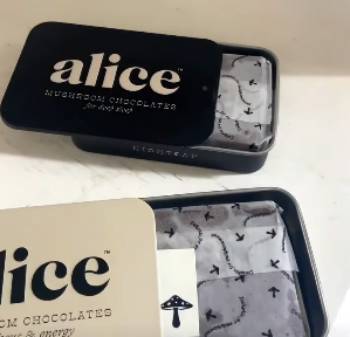 alice happy ending mushroom chocolates