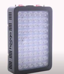 Read more about the article Hooga Red Light Therapy Review From My Honest Experience