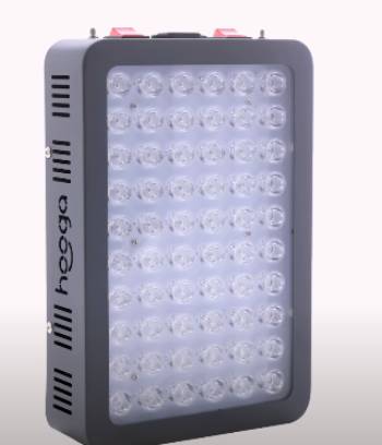 hooga red light therapy