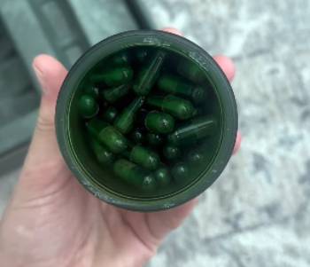 seed ds-01 daily synbiotic