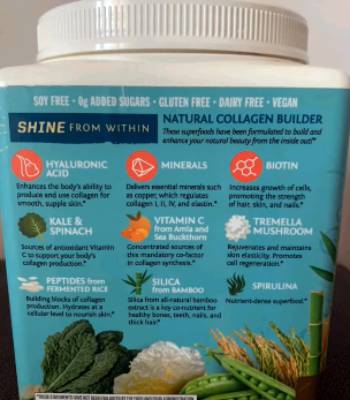 sun warrior protein powder