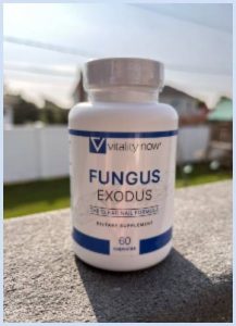 Read more about the article Vitality Now Fungus Exodus Reviews: Is It Worth It?